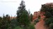 004  Red Canyon_2018