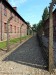 017  Auschwitz  nacistický koncentrační a vyhlazovací tábor _2019