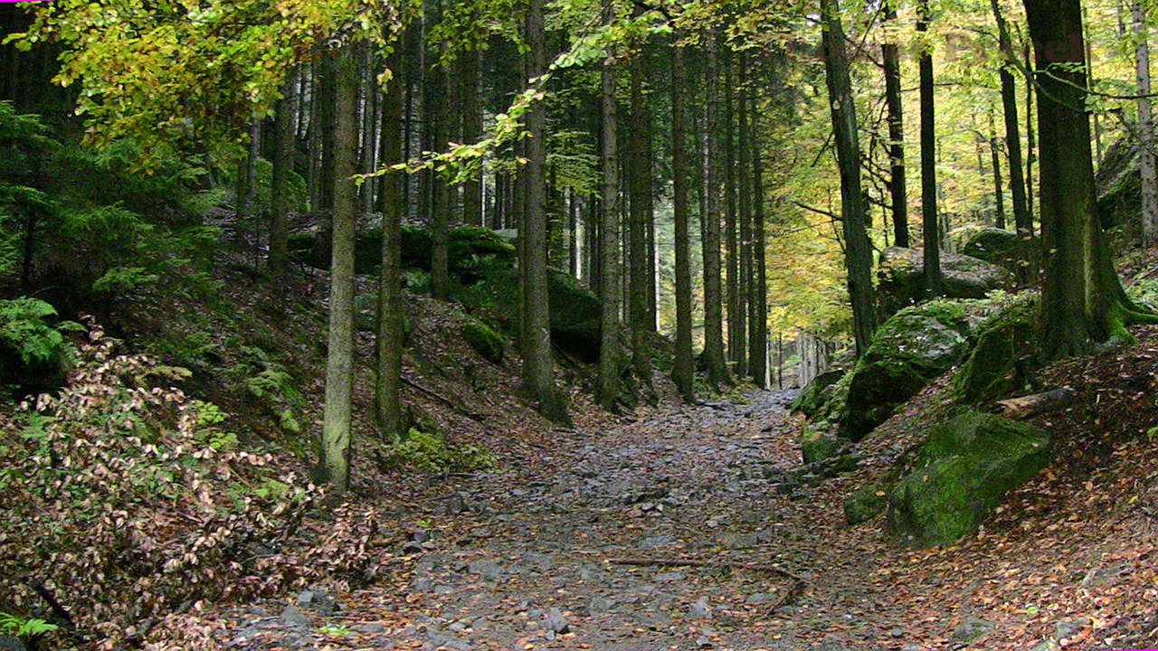  001 České Švýcarsko-Bohemian Switzerland_2009