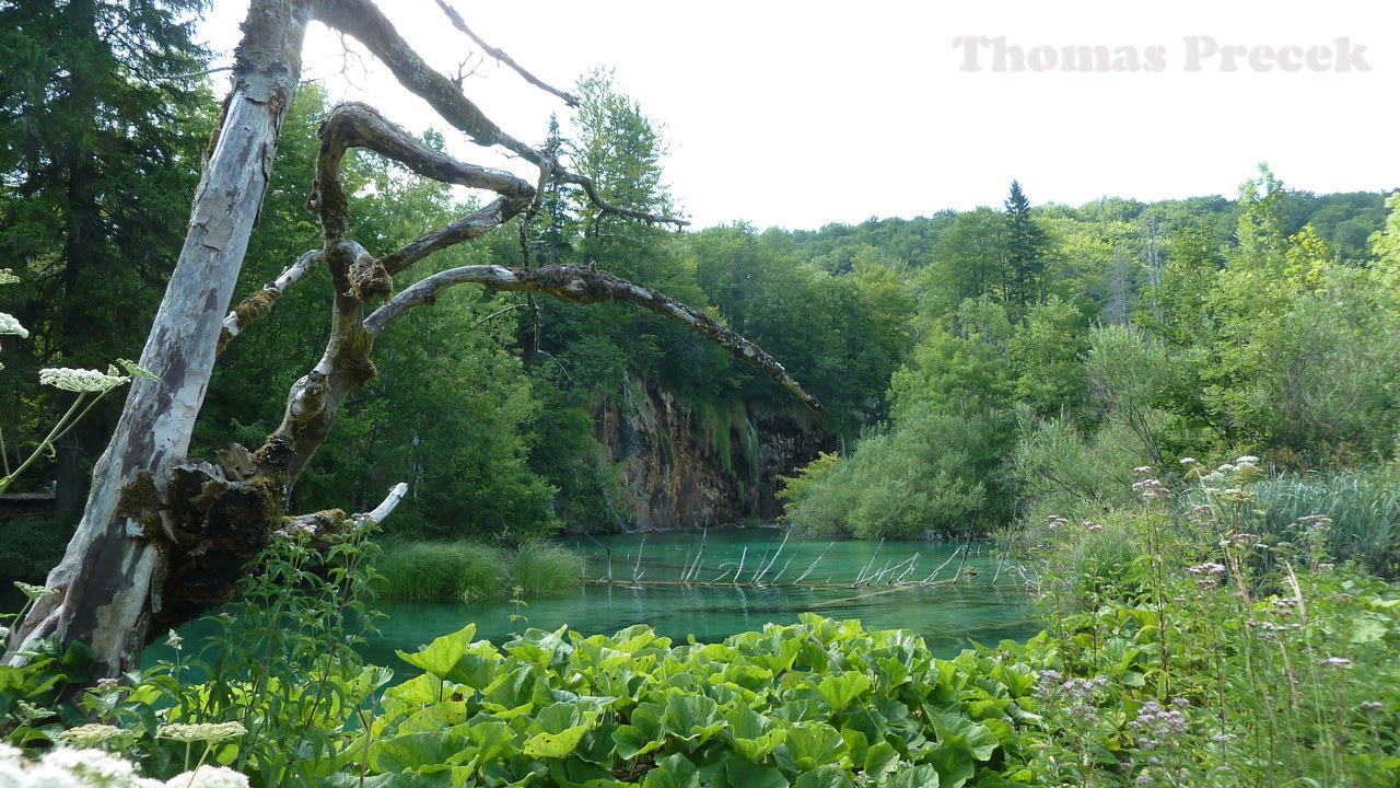  008. Plitvice Lakes N.P._2012