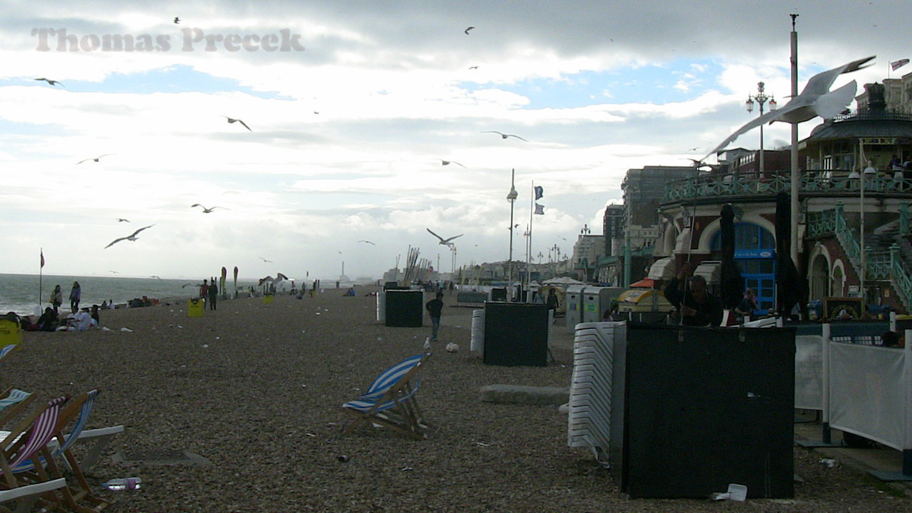  009. Brighton_2010