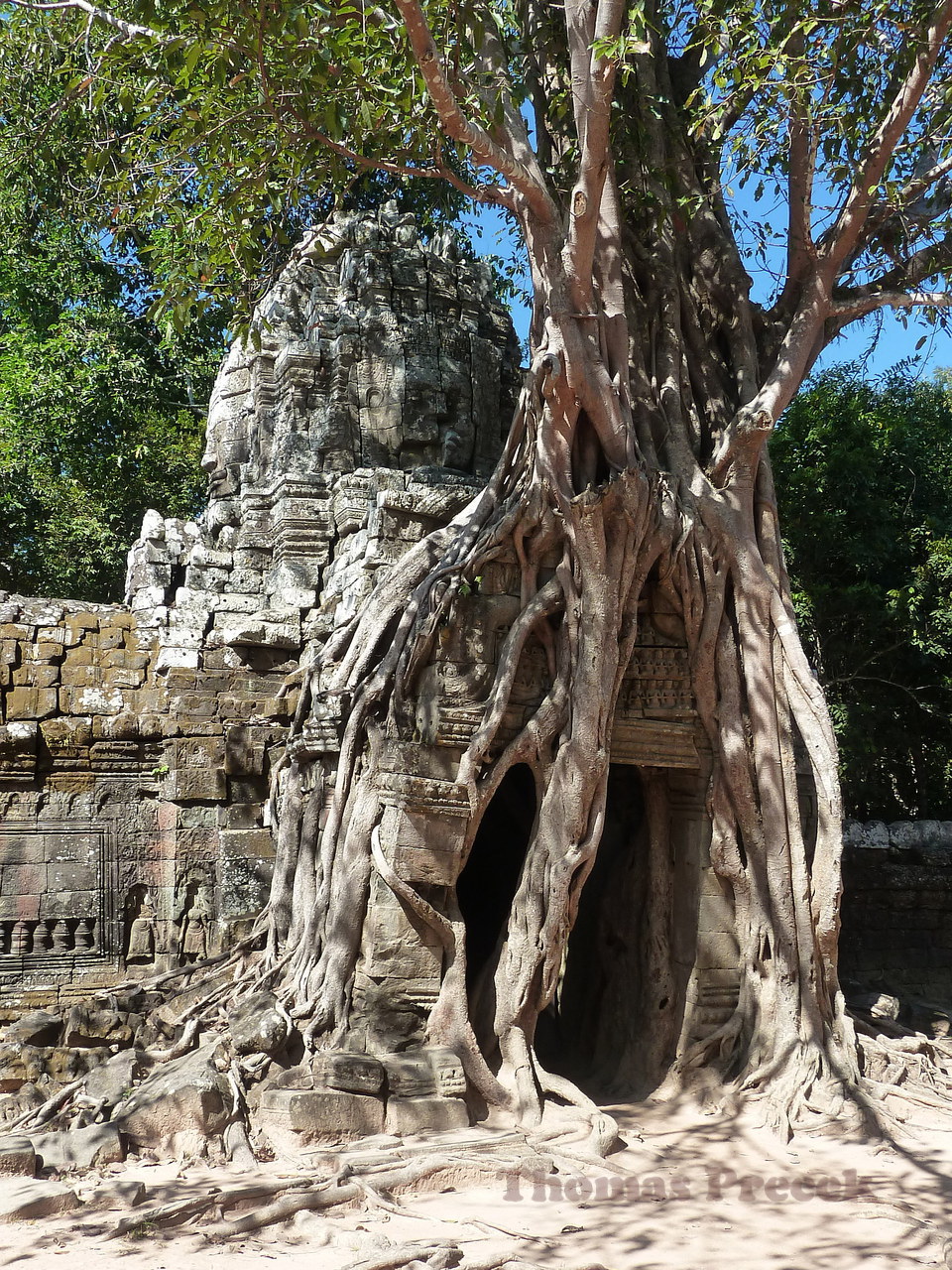  007.  Temples of Angkor_2010