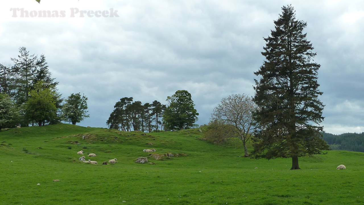 005. Lake District N.P._2016