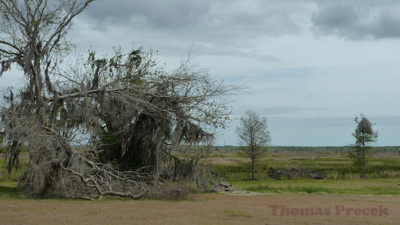 001.   Savannah National Wildlife Refuge_2017