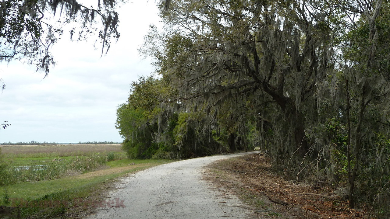 003.   Savannah National Wildlife Refuge_2017