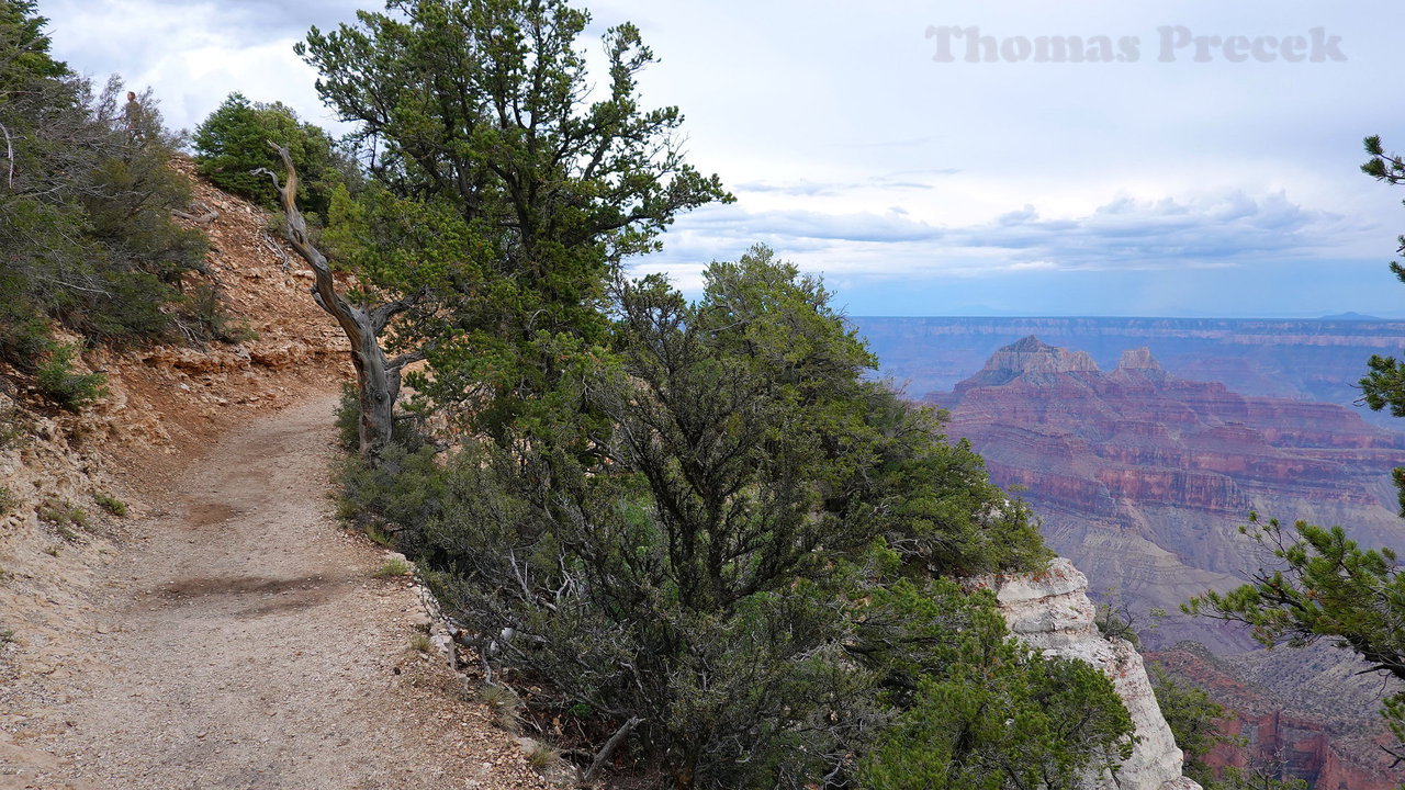 003  Grand Canyon National Park-North Rim_2018