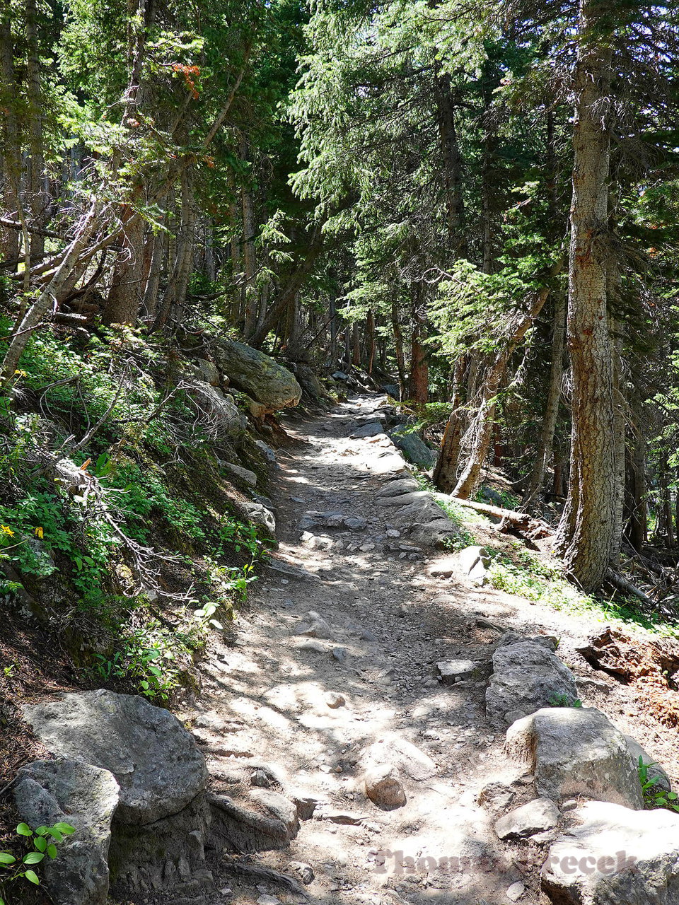 021   Rocky Mountain National Park_2018