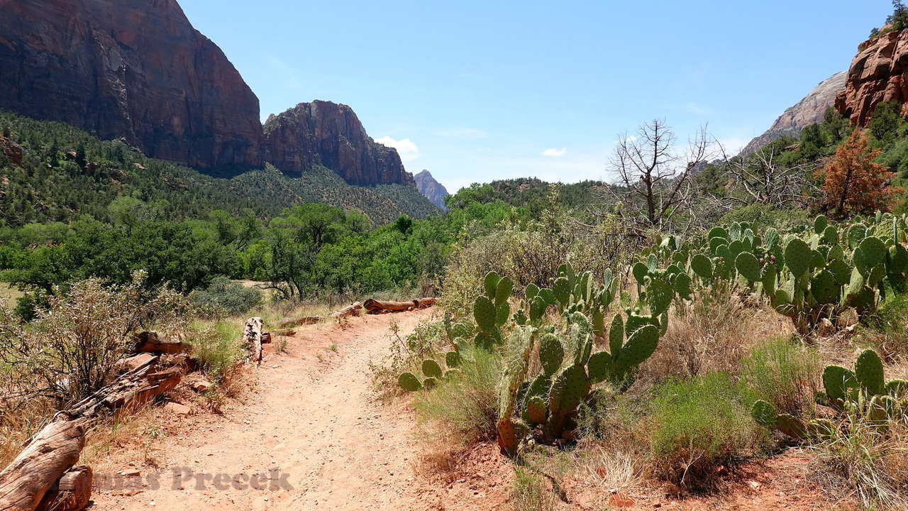 008  Zion National Park_2018