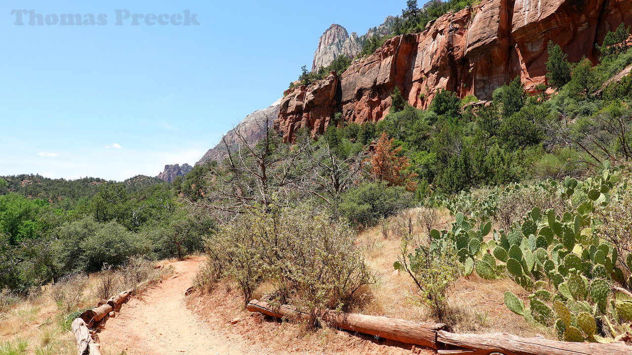 009  Zion National Park_2018