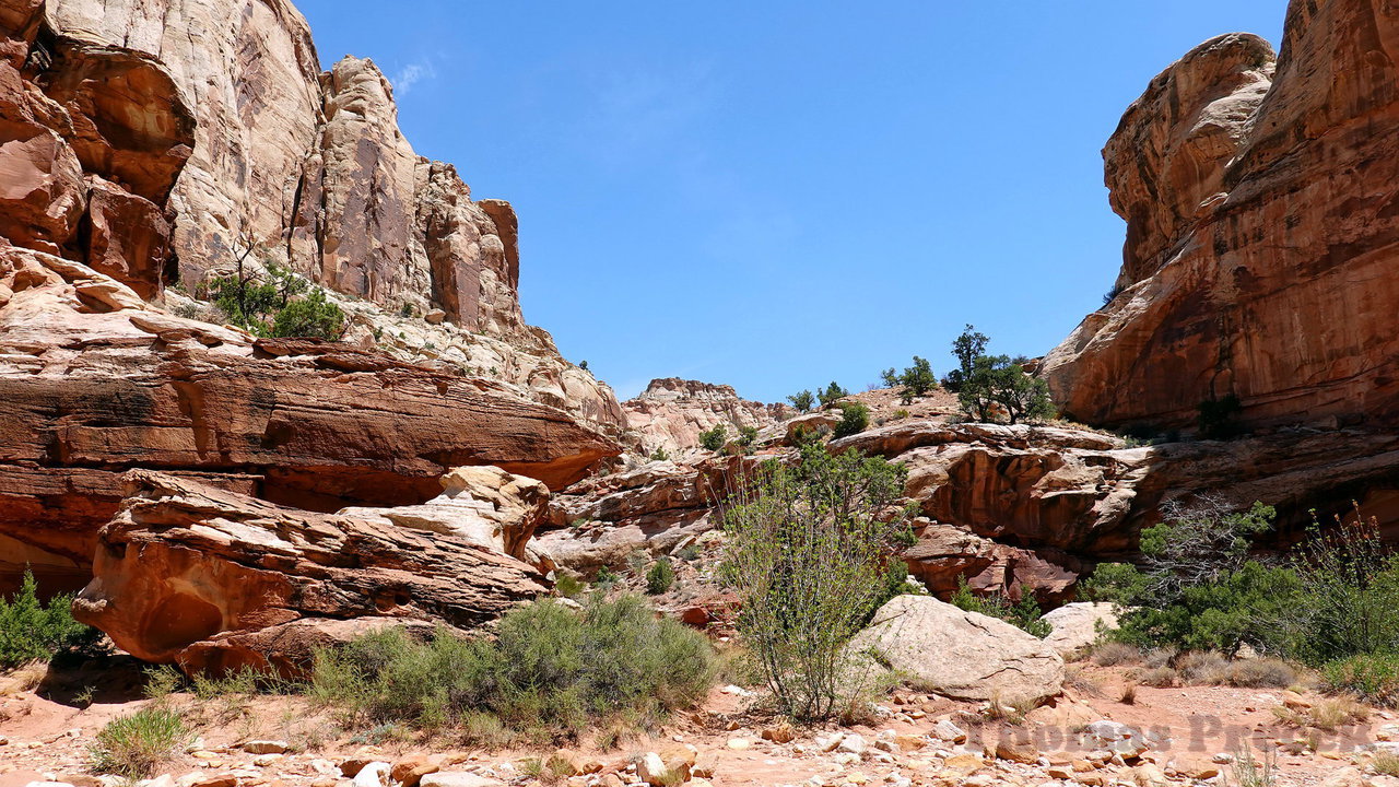 011  Capitol Reef National Park_2018