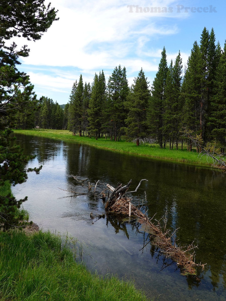 010  Yellowstone National Park_2018