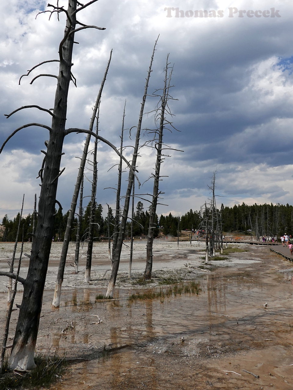 020  Yellowstone National Park_2018