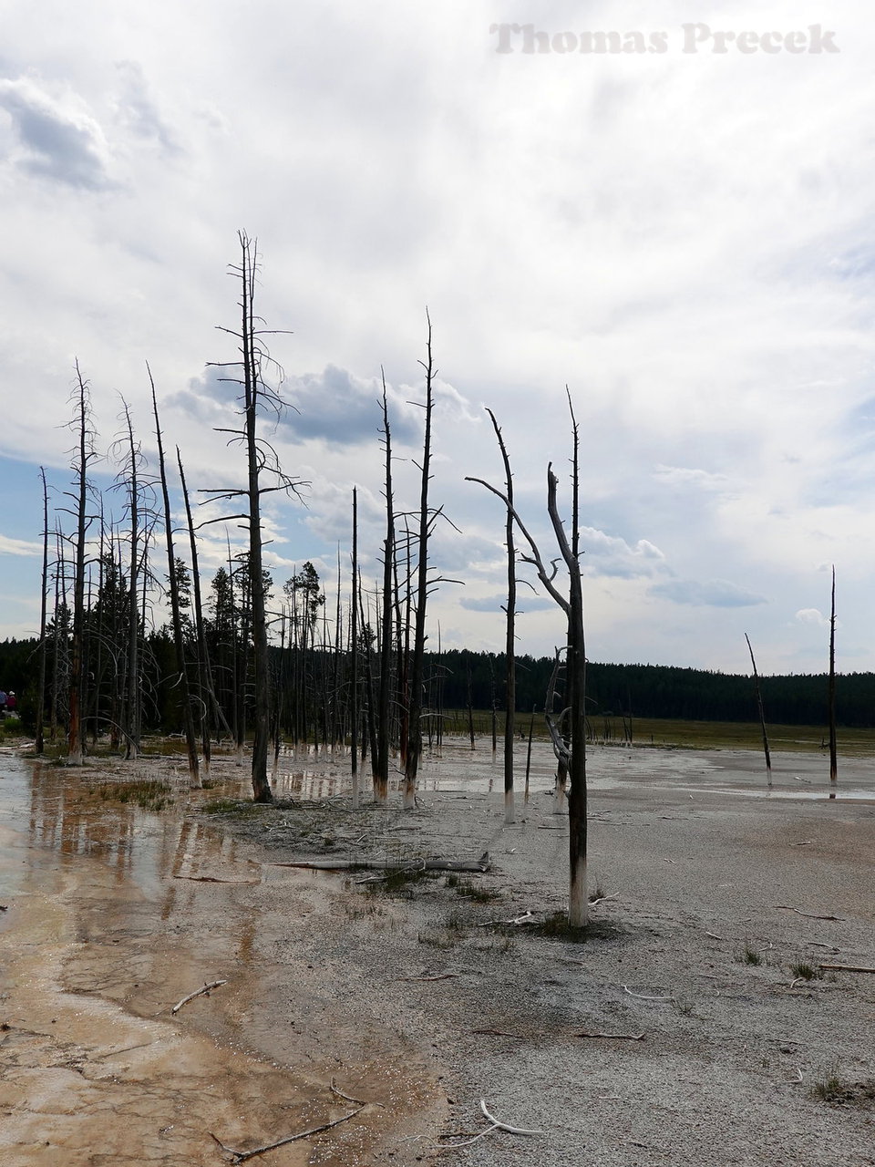 021  Yellowstone National Park_2018