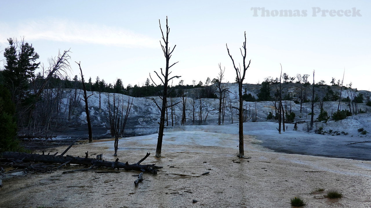 035  Yellowstone National Park_2018