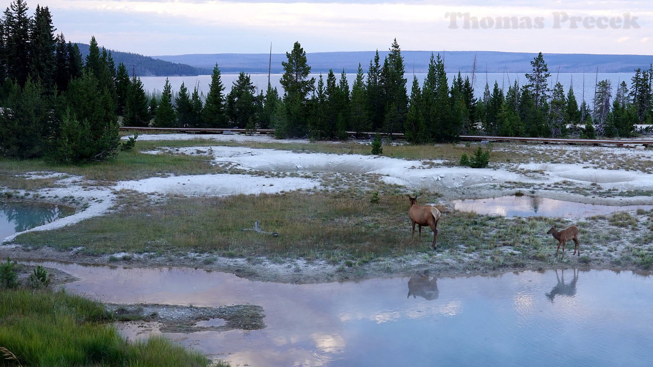 045  Yellowstone National Park_2018