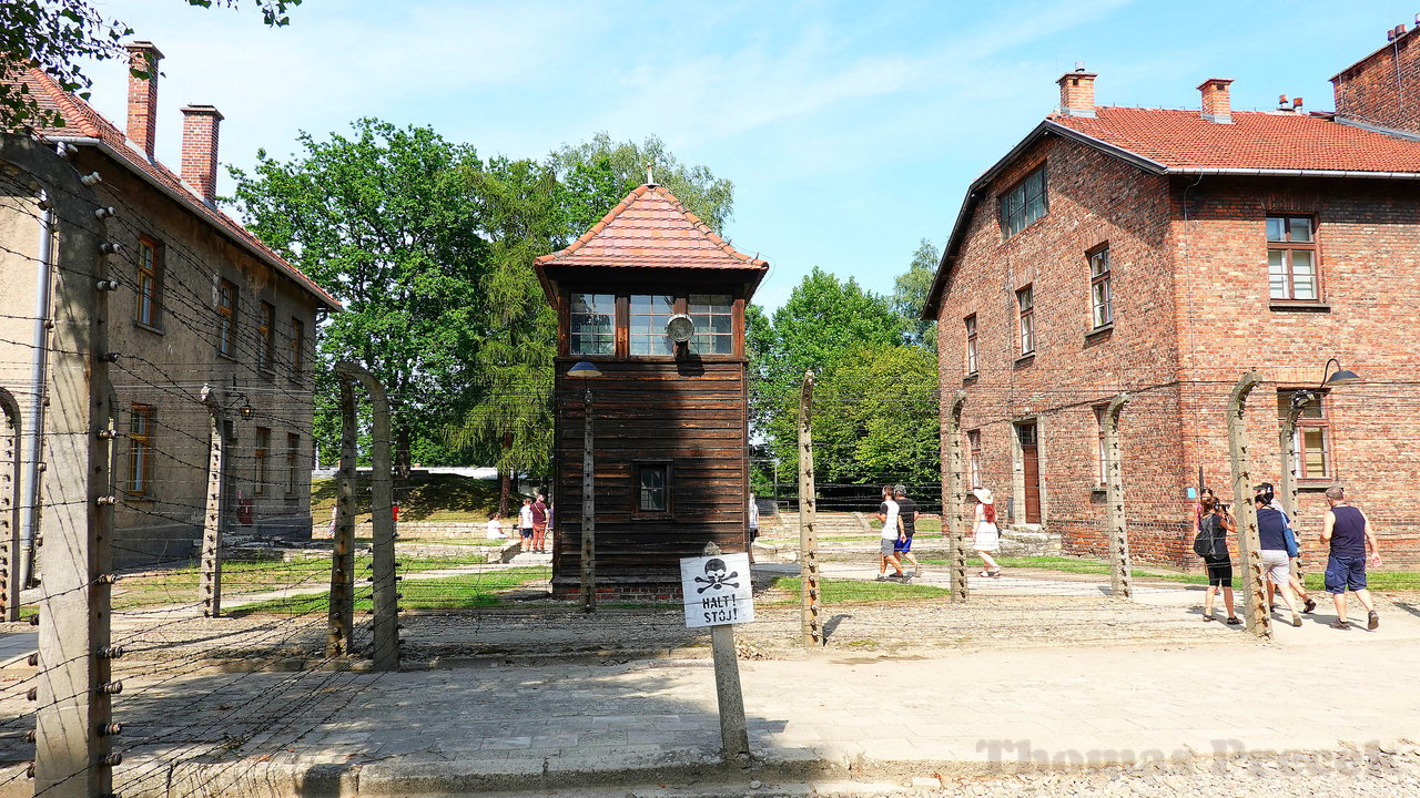 016  Auschwitz concentration camp_2019