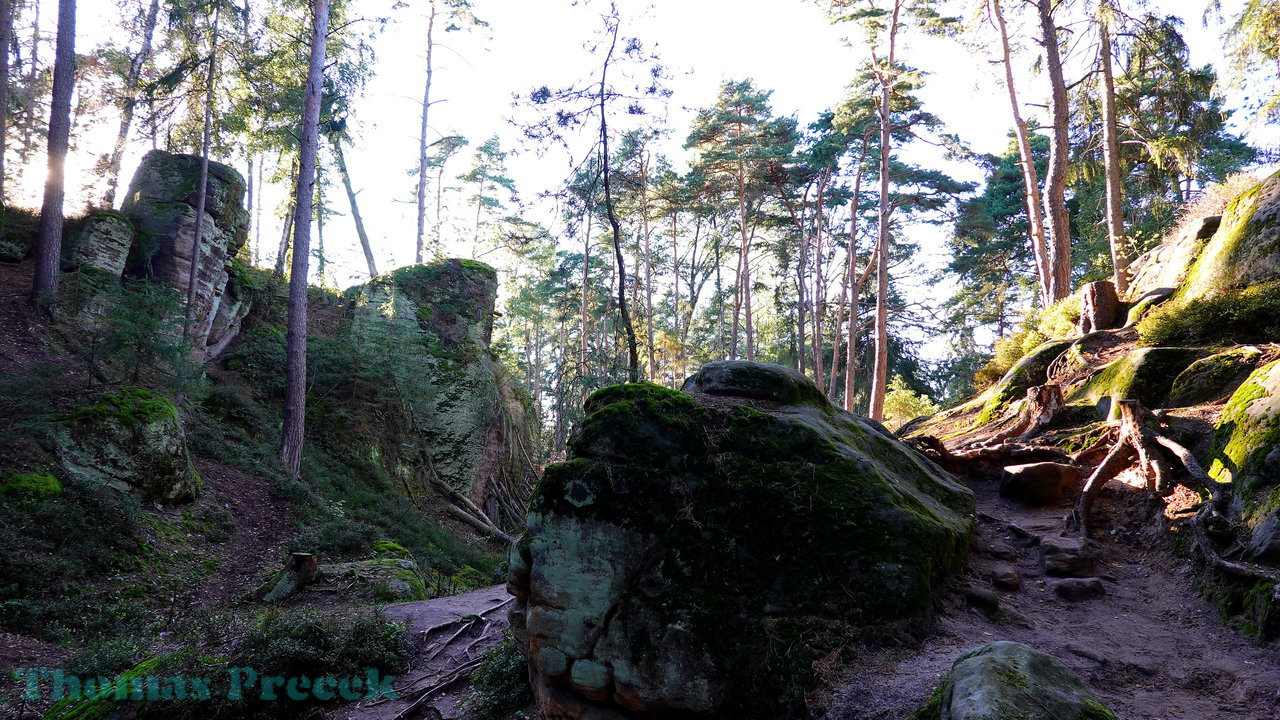  017   Prachov Rocks_2020