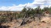 005 - Mesa Verde National Park_2018