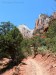 011  Zion National Park_2018